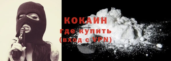 твердый Лагань