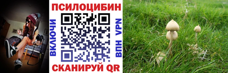 Галлюциногенные грибы Psilocybine cubensis  Гаврилов Посад 